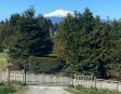 Propiedad en venta en Puerto Montt, camino a Puerto Varas. Parcela privada de 5.000 m² con 3 casas, lugar seguro y tranquilo a minutos del centro.